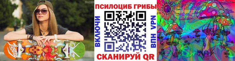 цены наркотик  Петрозаводск  Псилоцибиновые грибы мицелий 